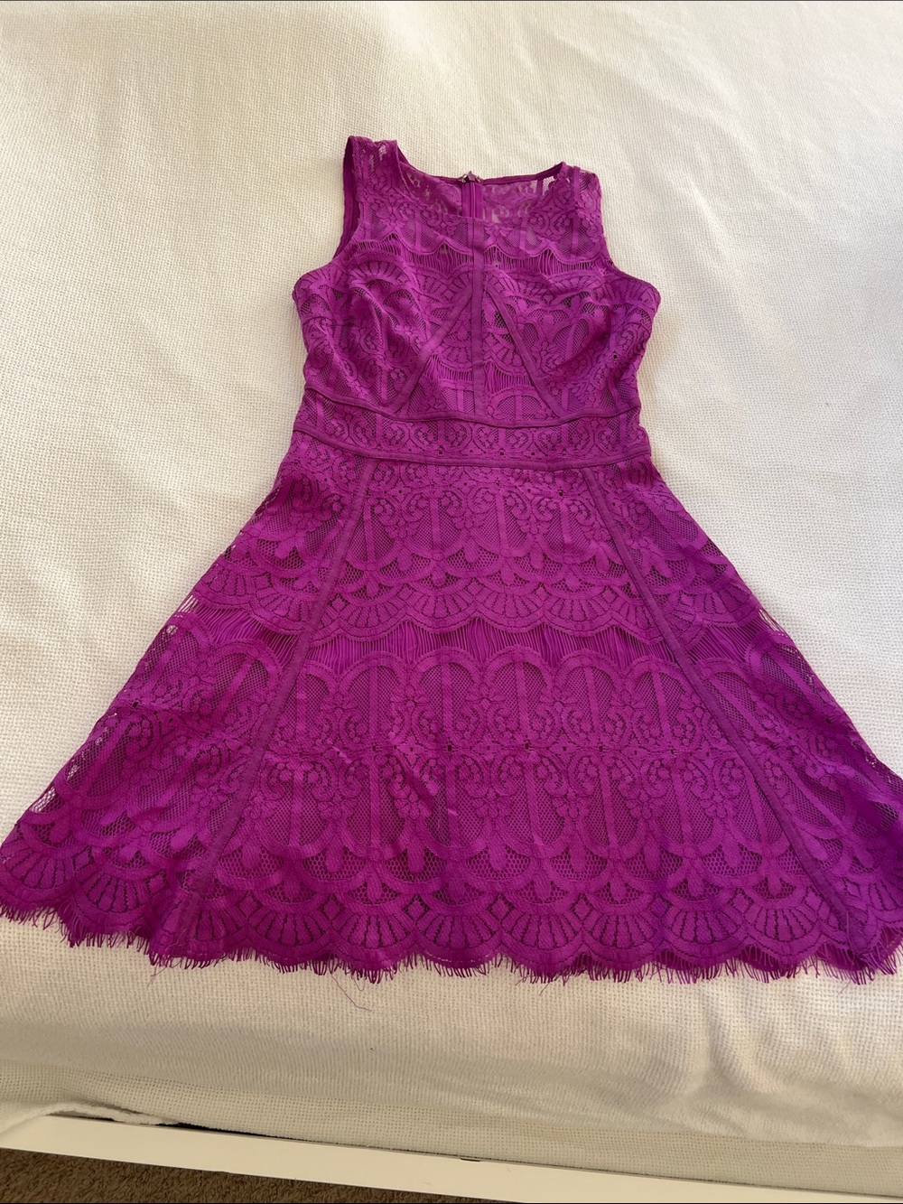 Adelyn Rae Sleeveless Lace Fit-and-Flare Dress in Fuchsia